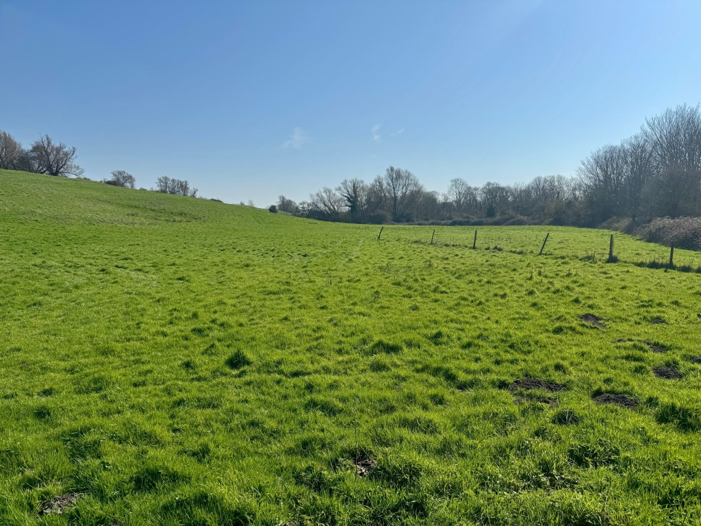 Lot: 108 - ALMOST 22 ACRES OF FREEHOLD LAND - View of the land